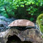 products-Oferta-pinuri-15-lei003